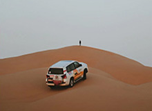 开云APP-送花环节延续，仪式感拉满！2026上海女子半程马拉松鸣枪起跑，8000名女性跑者用脚步诠释“她力量”